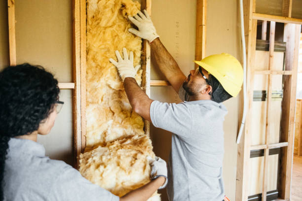 Best Soundproof Insulation  in Foscoe, NC